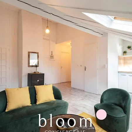 Face à La Gare Très Bel Appartamento Nancy