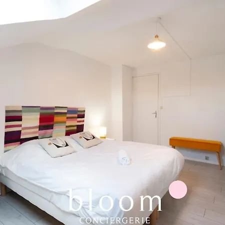 Apartment Gare Superbe Nancy